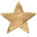 Floristik24 Rustikaler Deko-Stern aus Paulowniaholz – Natürliche Holzoptik, 25x8 cm – Vielseitige Raumdekoration